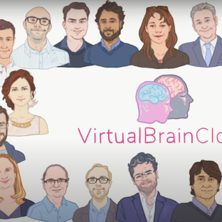 Horizon 2020-funded Virtualbraincloud Project Hosts An Online General 